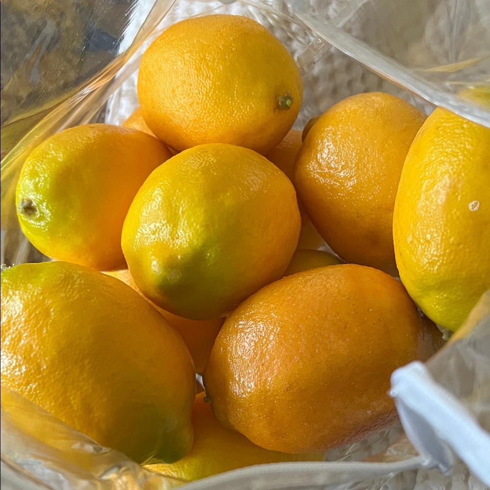 14 very nice quality fake lemons